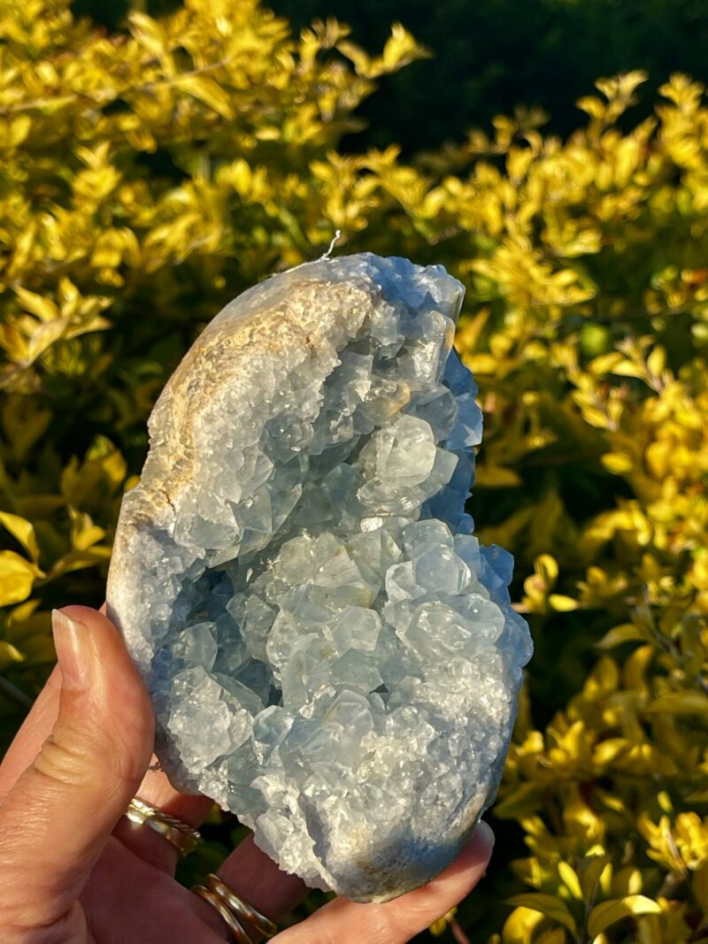 Embrace Serenity Celestite Cluster 1kg