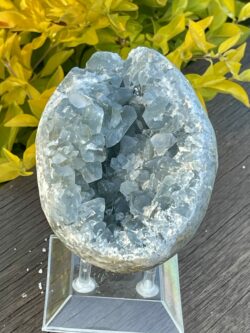 This is the Magic of the Celestite Open Egg Cluster