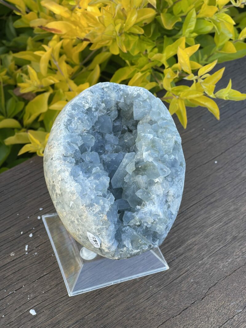 This is the Magic of the Celestite Open Egg Cluster