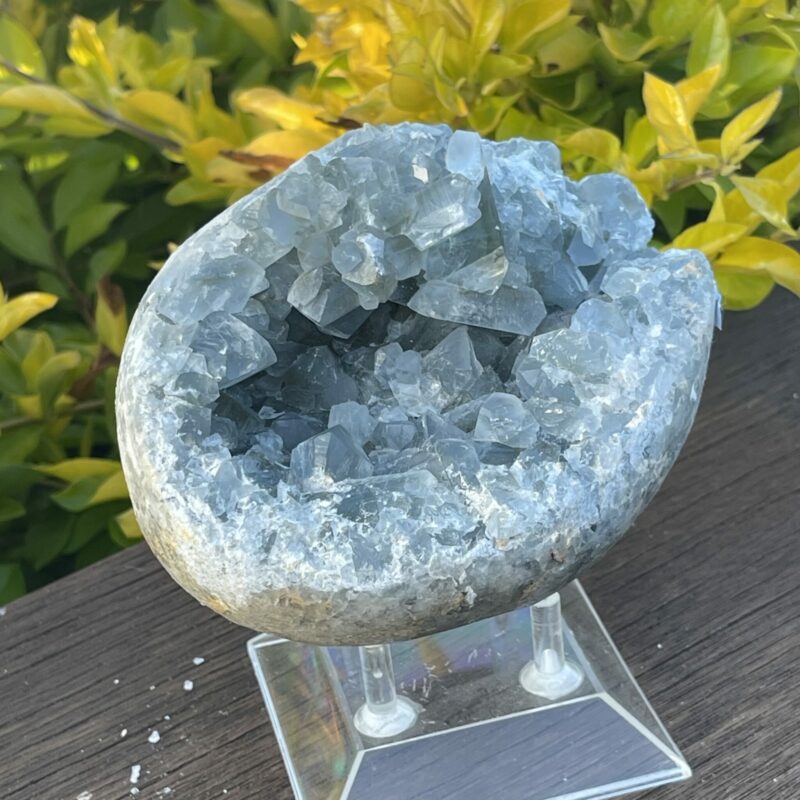 This is the Magic of the Celestite Open Egg Cluster