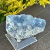 Elevate Your Space Celestite Cluster 656g