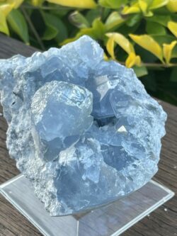 Elevate Your Space Celestite Cluster 656g