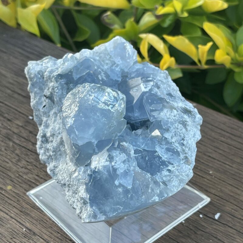 Elevate Your Space Celestite Cluster 656g