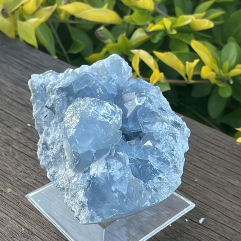 Elevate Your Space Celestite Cluster 656g