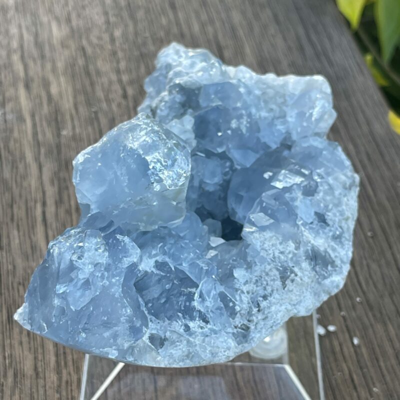 Elevate Your Space Celestite Cluster 656g