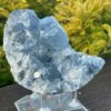 Elevate Your Space Celestite Cluster 656g