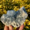 Elevate Your Space Celestite Cluster 656g