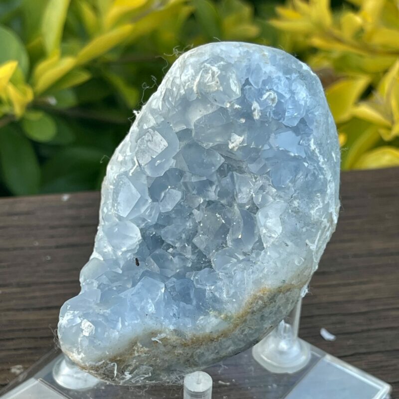 This is Tranquil Celestite Cluster - 333g