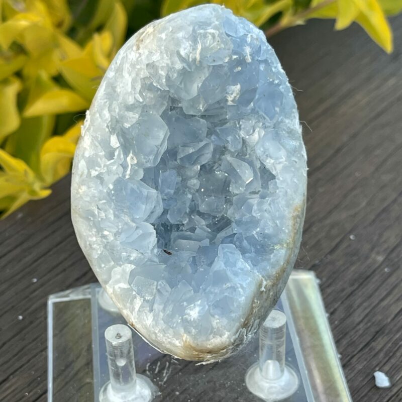 This is Tranquil Celestite Cluster - 333g