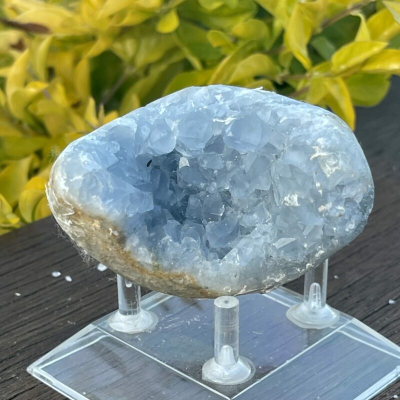 This is Tranquil Celestite Cluster - 333g