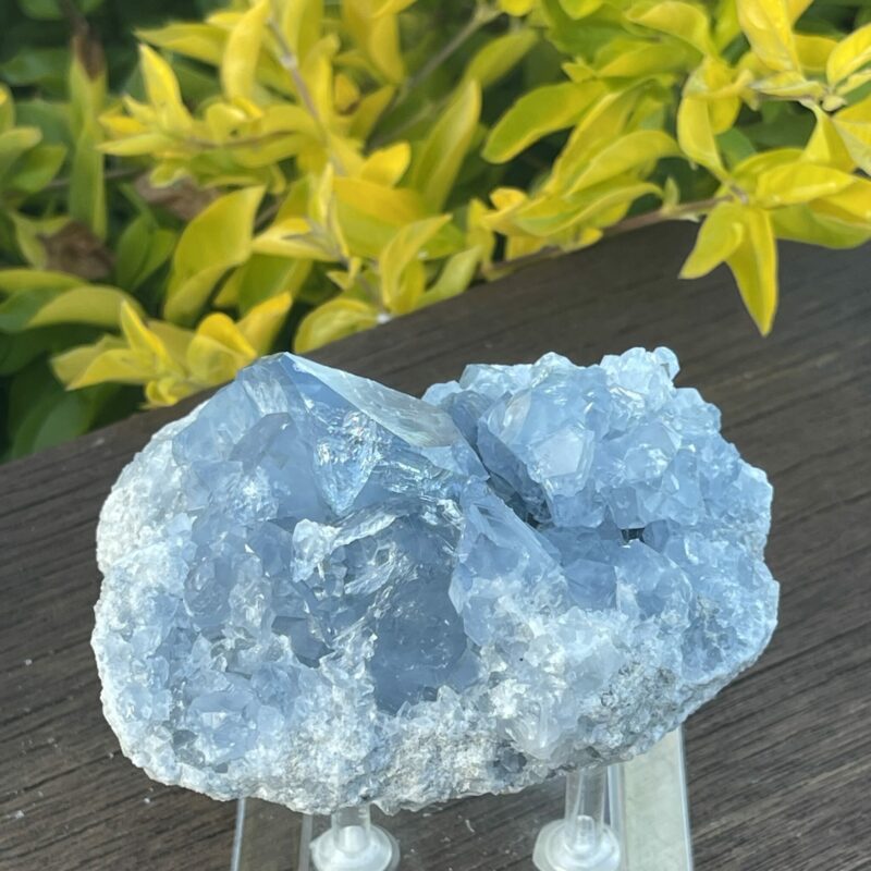 this is Serene Celestite Cluster - 765g