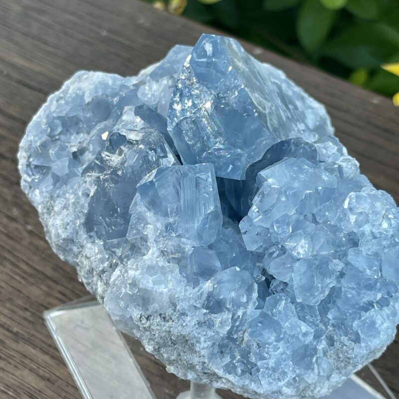 this is Serene Celestite Cluster - 765g