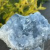 this is Serene Celestite Cluster - 765g