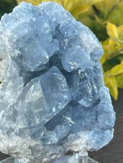 this is Serene Celestite Cluster - 765g