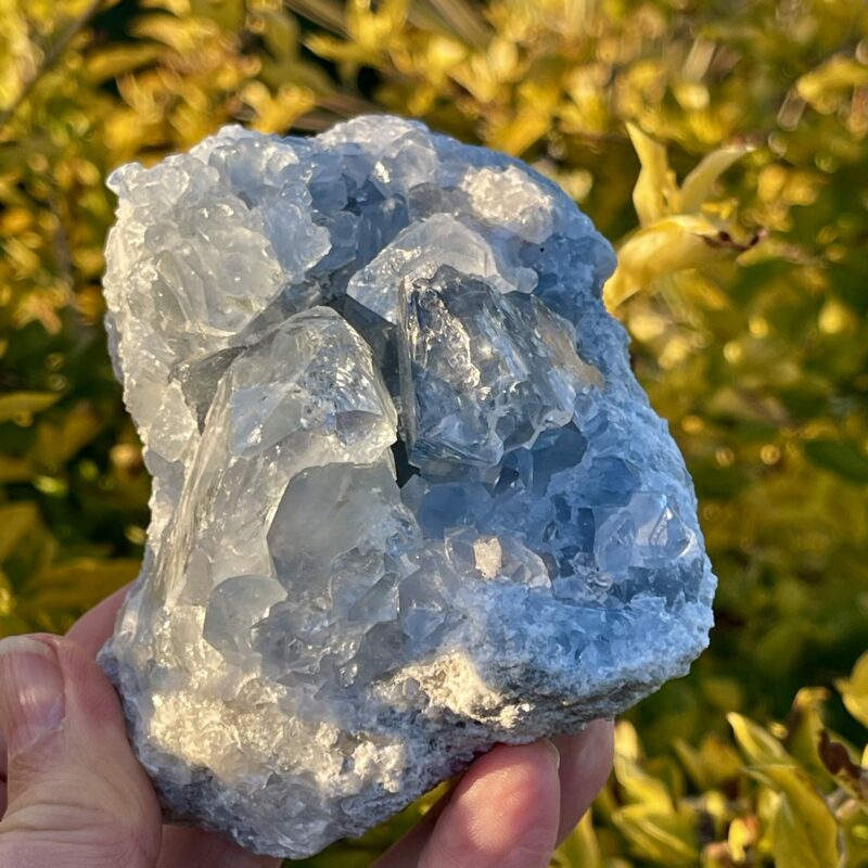 this is Serene Celestite Cluster - 765g