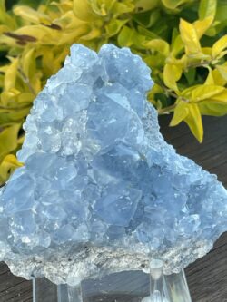 This is Tranquil Celestite Cluster - 630g