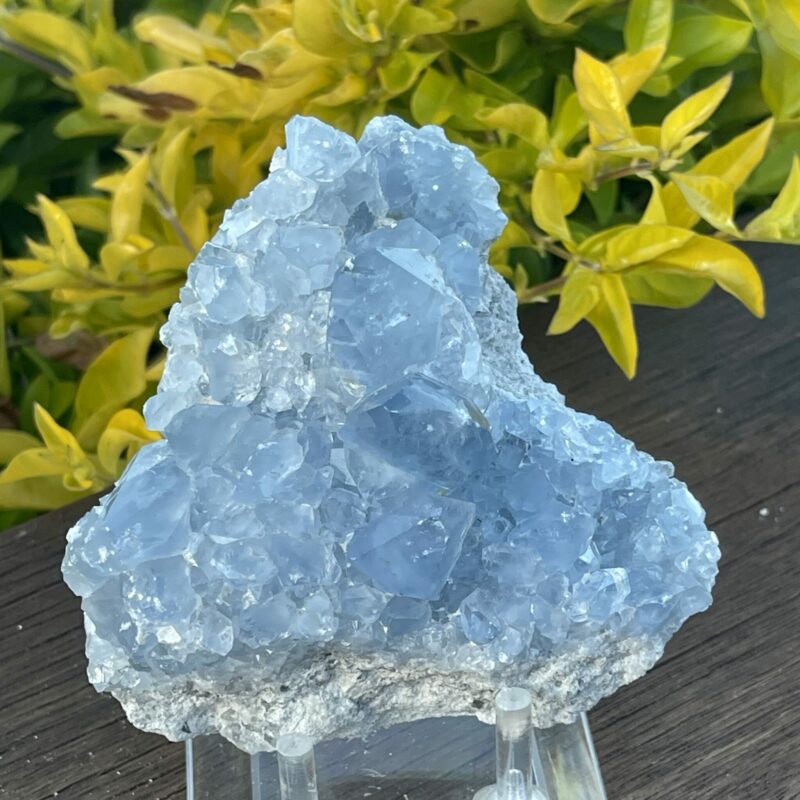 This is Tranquil Celestite Cluster - 630g