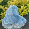 This is Tranquil Celestite Cluster - 630g