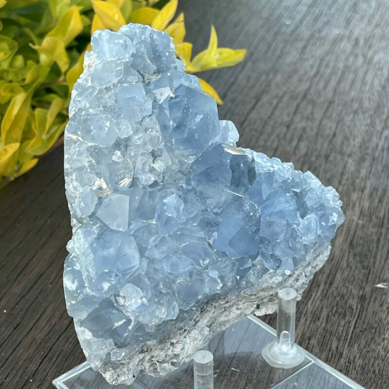 This is Tranquil Celestite Cluster - 630g