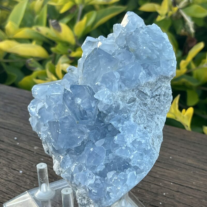 This is Tranquil Celestite Cluster - 630g