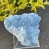 This is Tranquil Celestite Cluster - 630g