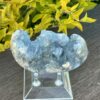 This is Peaceful Celestite Cluster - 599g