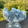 This is Peaceful Celestite Cluster - 599g