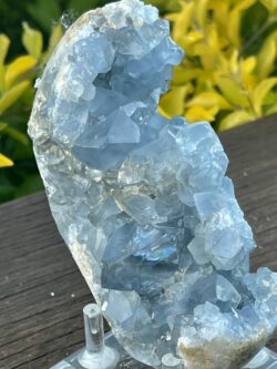 This is Peaceful Celestite Cluster - 599g