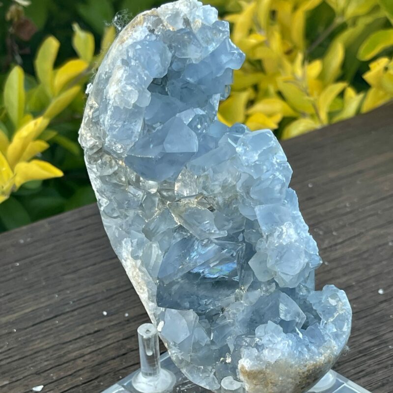 This is Peaceful Celestite Cluster - 599g