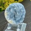 This is Harmonious Celestite Cluster - 504g