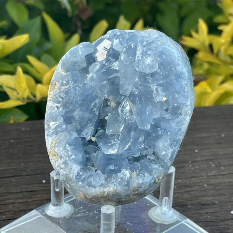 This is Harmonious Celestite Cluster - 504g