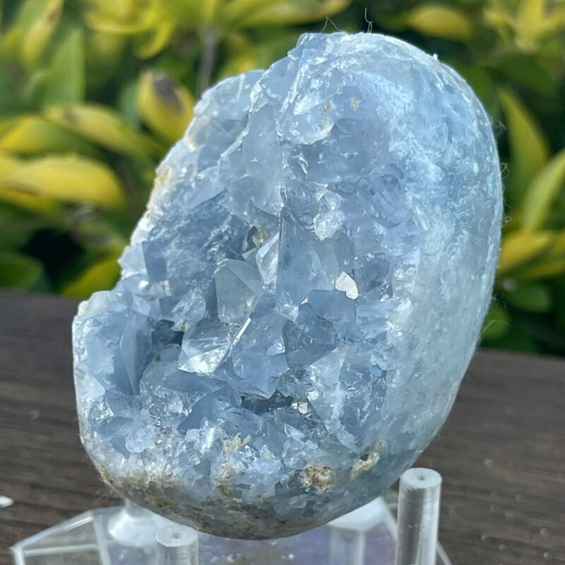 This is Harmonious Celestite Cluster - 504g