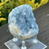 This is Harmonious Celestite Cluster - 504g