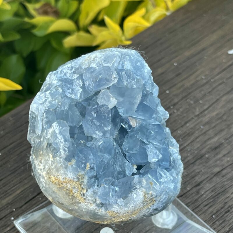 This is Harmonious Celestite Cluster - 504g