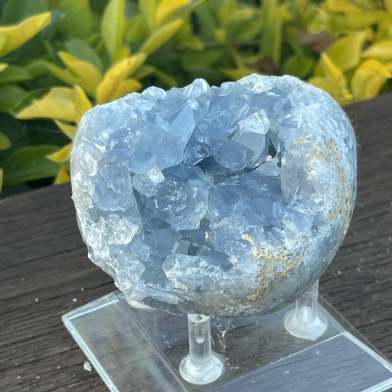 This is Harmonious Celestite Cluster - 504g