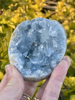 This is Harmonious Celestite Cluster - 504g