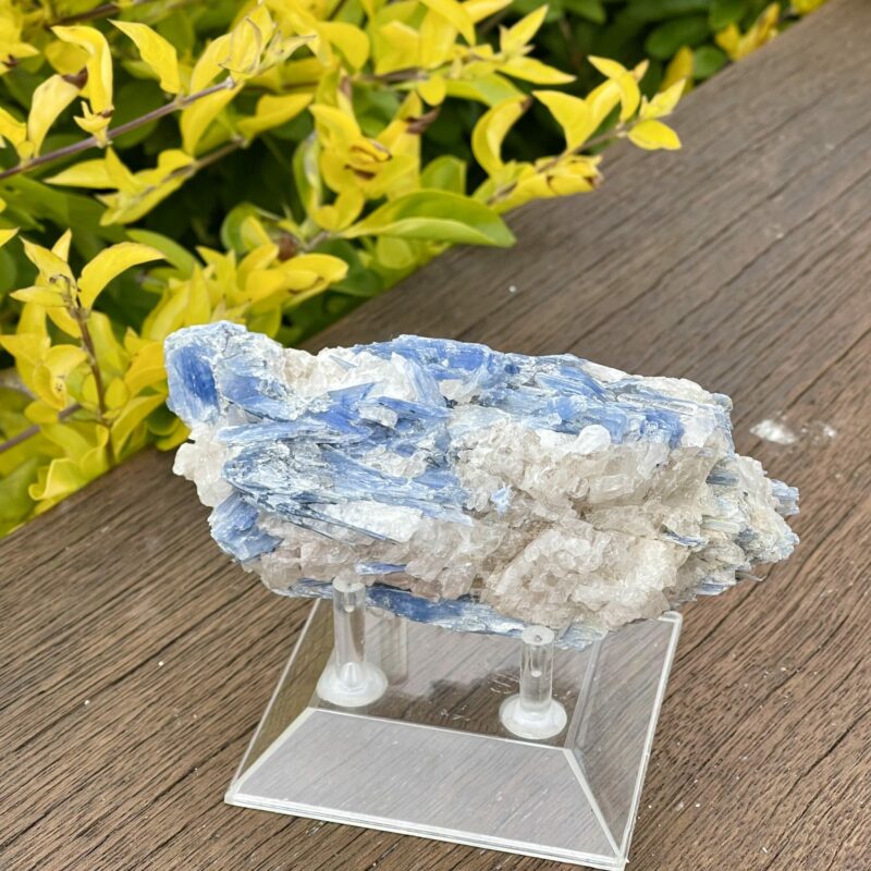 This ia Harmony in Nature Blue Kyanite 361gr