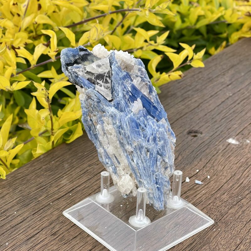 This ia Harmony in Nature Blue Kyanite 361gr