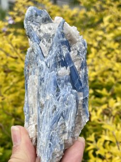 This ia Harmony in Nature Blue Kyanite 361gr