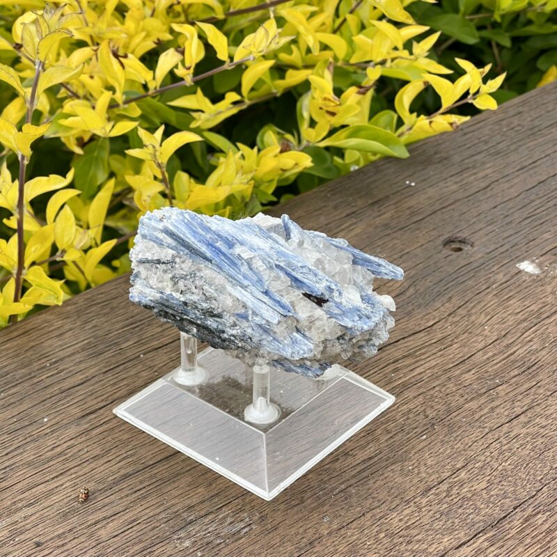 This is Harmonizing Blue Kyanite Specimen - 381g