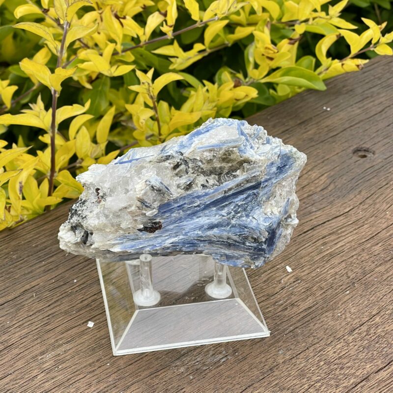 This is Dynamic Blue Kyanite with Quartz Specimen - 531g