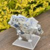 This is Dynamic Blue Kyanite with Quartz Specimen - 531g