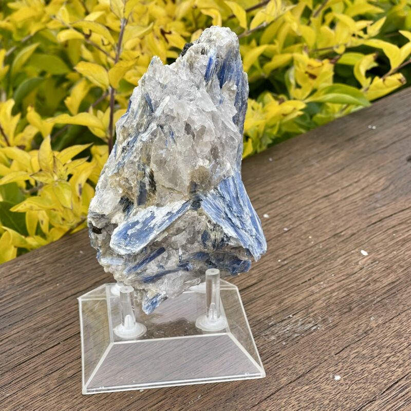 This is Dynamic Blue Kyanite with Quartz Specimen - 531g