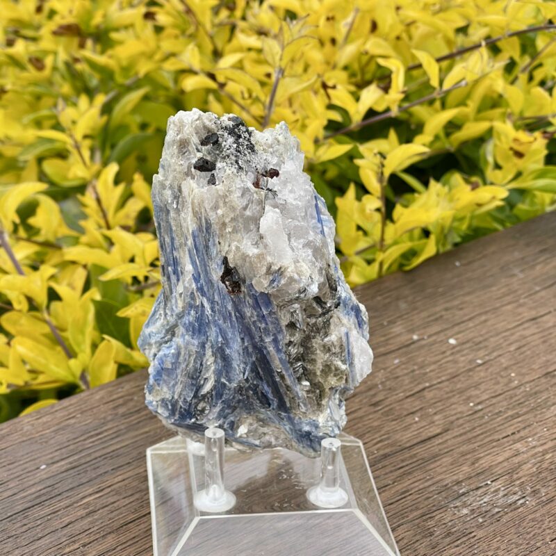 This is Dynamic Blue Kyanite with Quartz Specimen - 531g