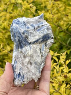 This is Dynamic Blue Kyanite with Quartz Specimen - 531g