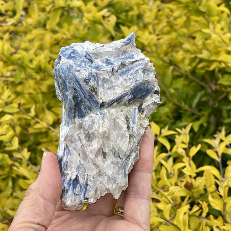 This is Dynamic Blue Kyanite with Quartz Specimen - 531g