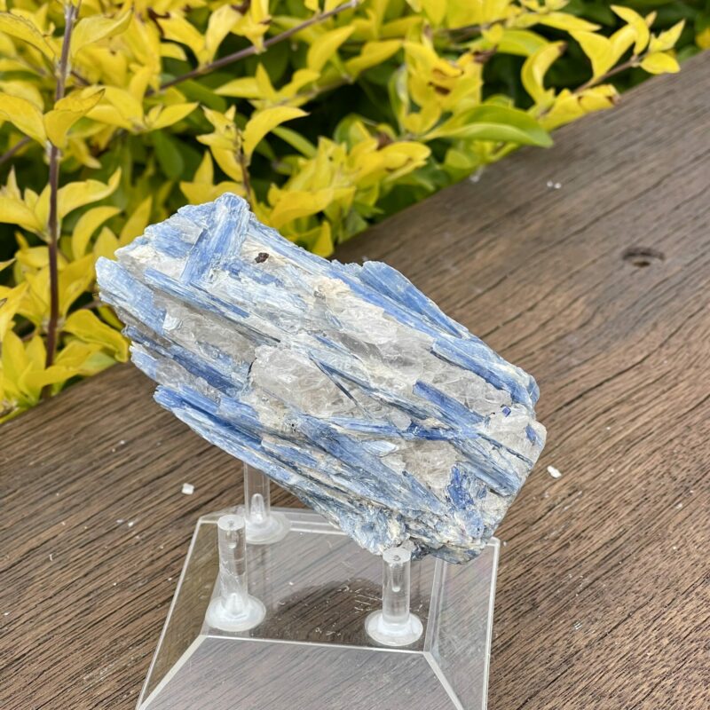 This is Radiant Blue Kyanite with Quartz Specimen - 302g