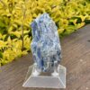 This is Radiant Blue Kyanite with Quartz Specimen - 302g