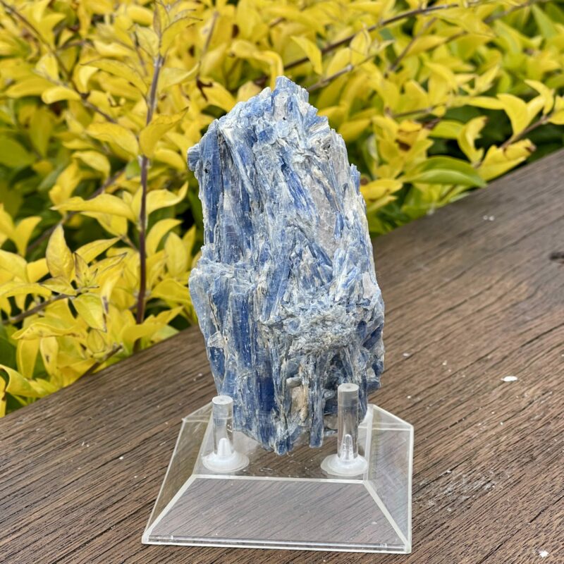 This is Radiant Blue Kyanite with Quartz Specimen - 302g