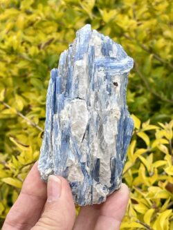 Radiant Blue Kyanite with Quartz Specimen – 302g